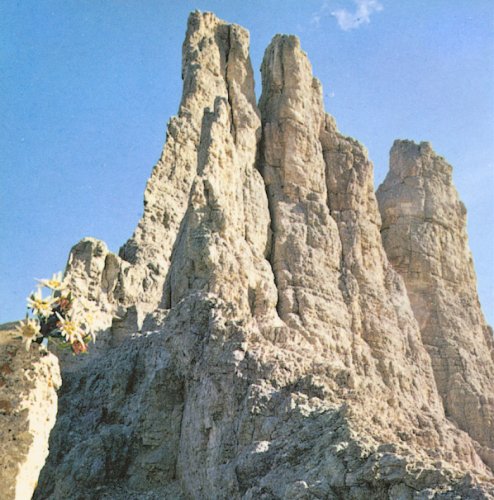 Drei Zinnen ( Cima Grande di Lavaredo ) in the Italian Dolomites