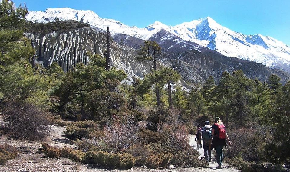 Annapurna Himal from Manang Valley