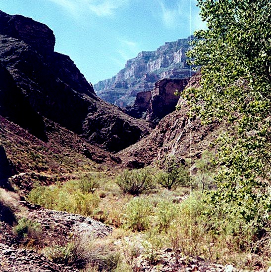 Bright Angel Trail from the South Rim of the Grand Canyon