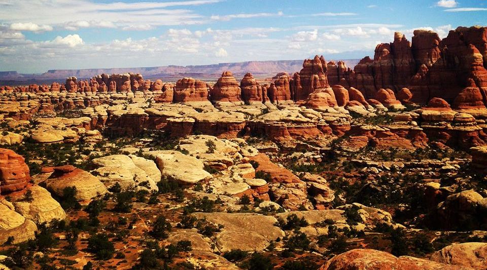 Sandstone Pinnacles in the Needles District of Canyonlands National Parkon the trail from Elephant Hill to Chesler Park