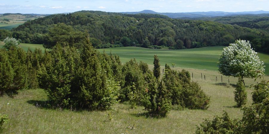 Landscape in the Eifel Region of Germany