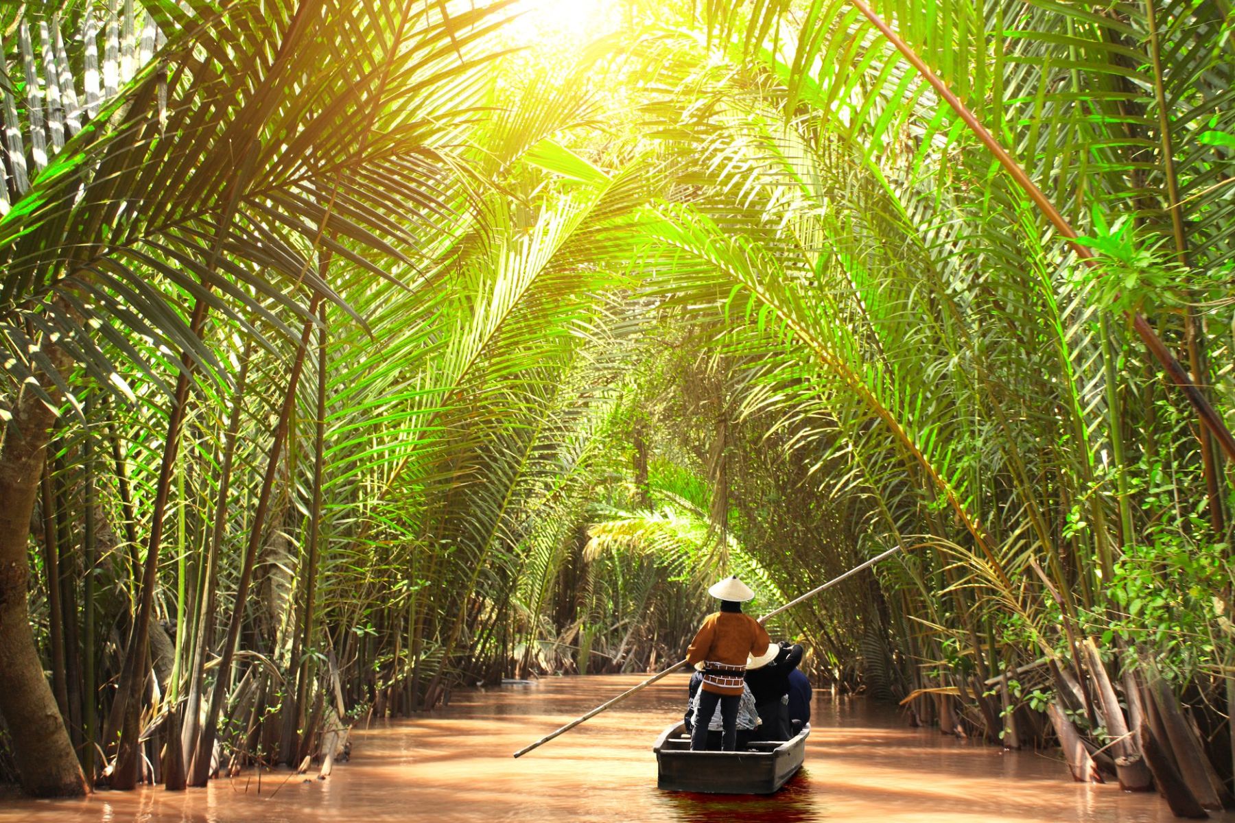 Canoe trip in waterway of Mekong Delta