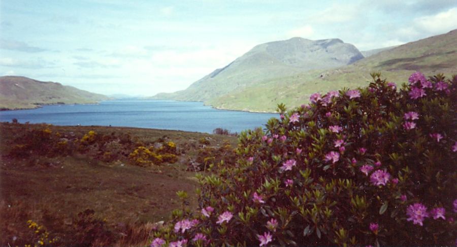 Killary Harbour Sea Loch on West Coast of Ireland