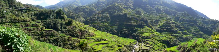 Banaue rice terraces