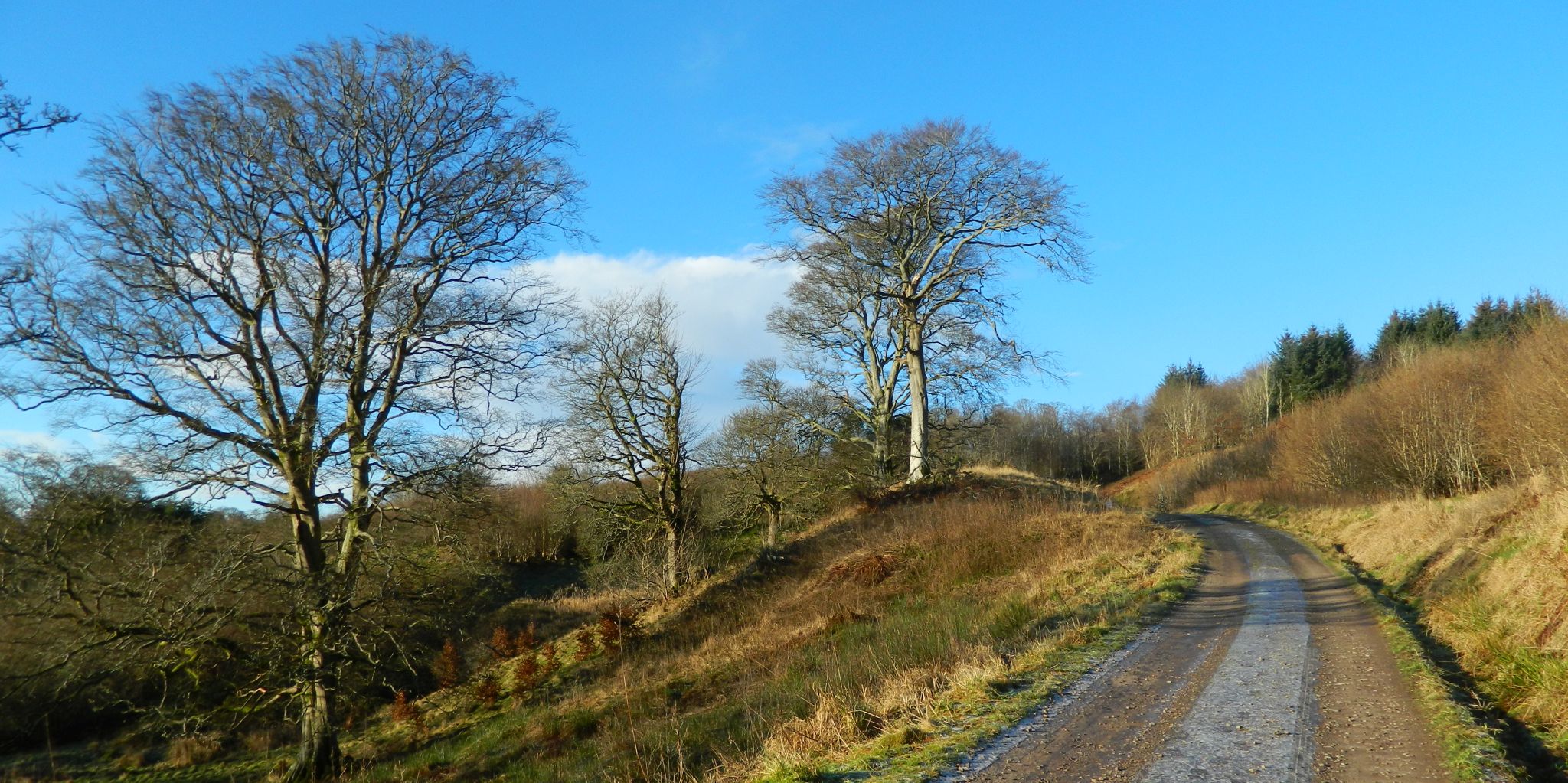 Track on ascent to Allanhead Cottage