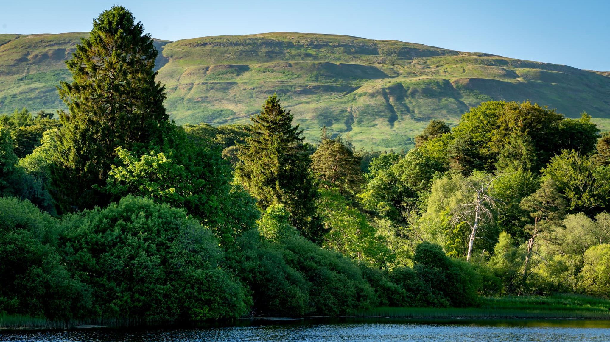 Campsie Fells  from Alloch Dam