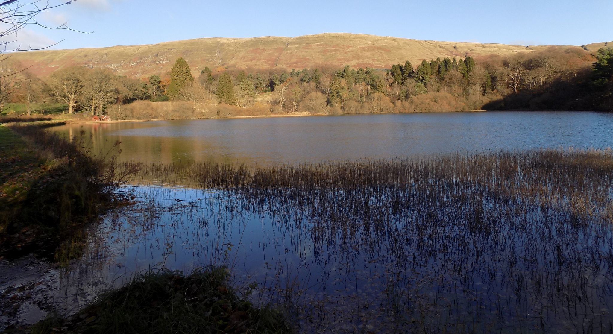 Campsie Fells from Alloch Dam