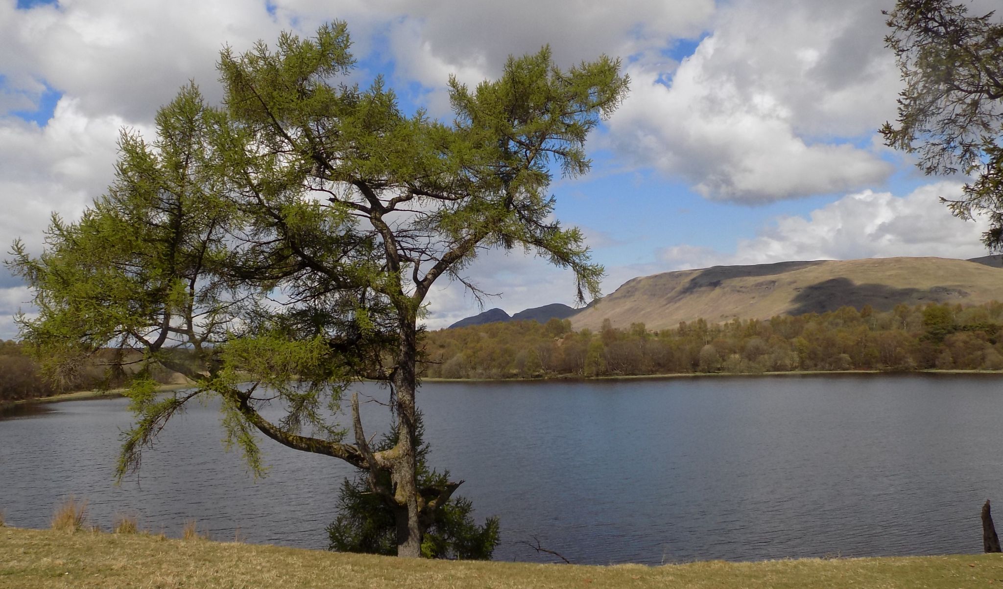 Ardinning Loch