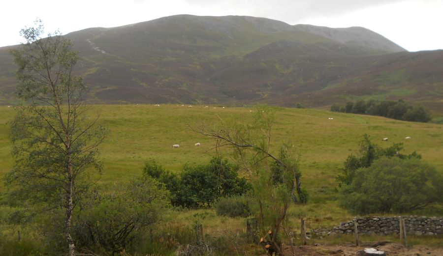 Schiehallion from starting point of ascent at Braes of Foss