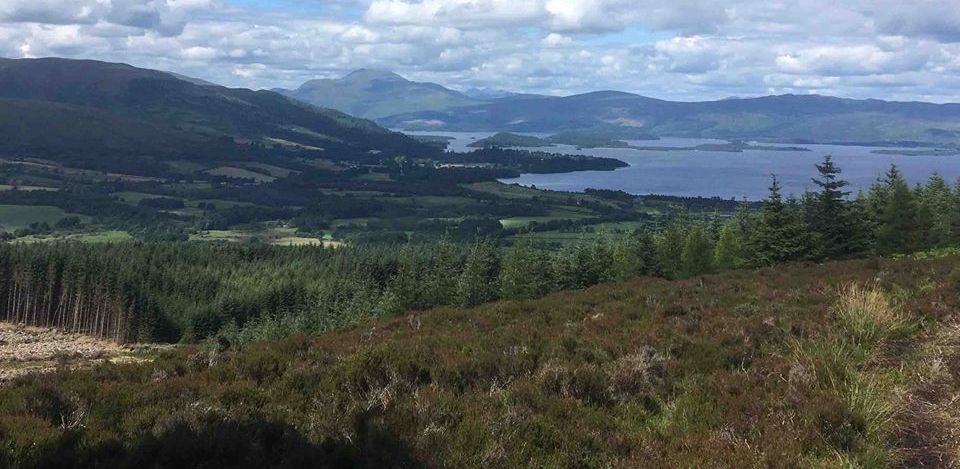 Ben Lomond and Loch Lomond from Ben Bowie