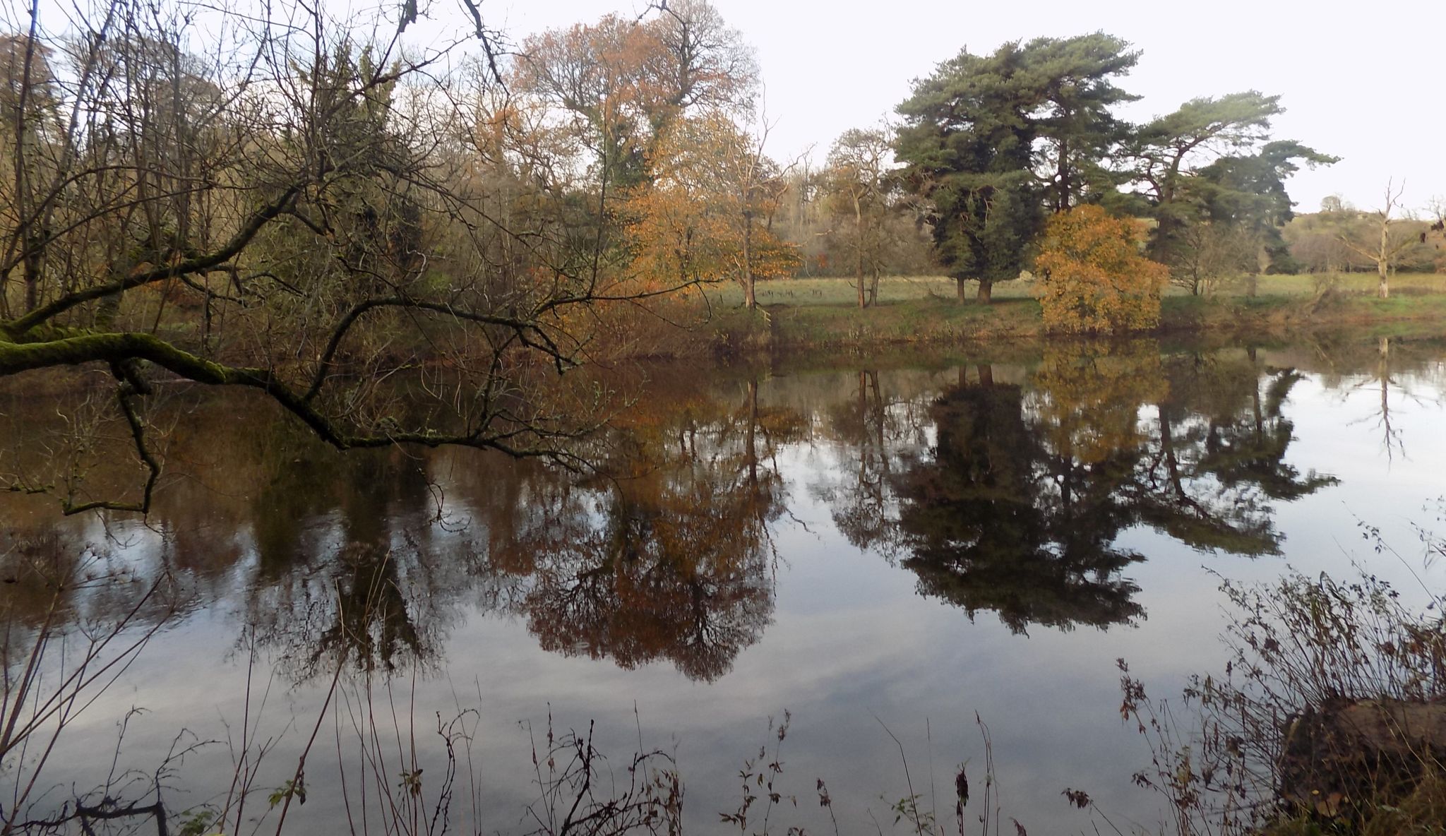 River Clyde near Bothwell