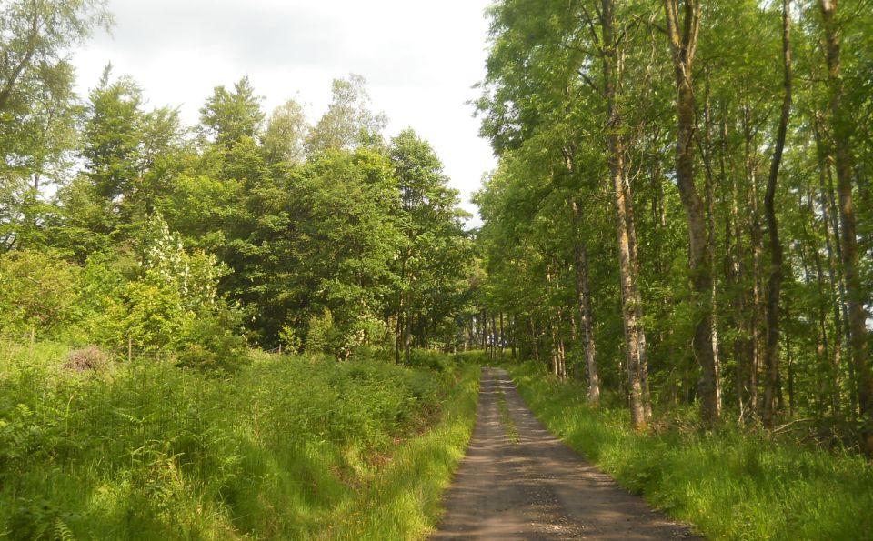 Track to Boturich estate from Blairlinnans Water Works