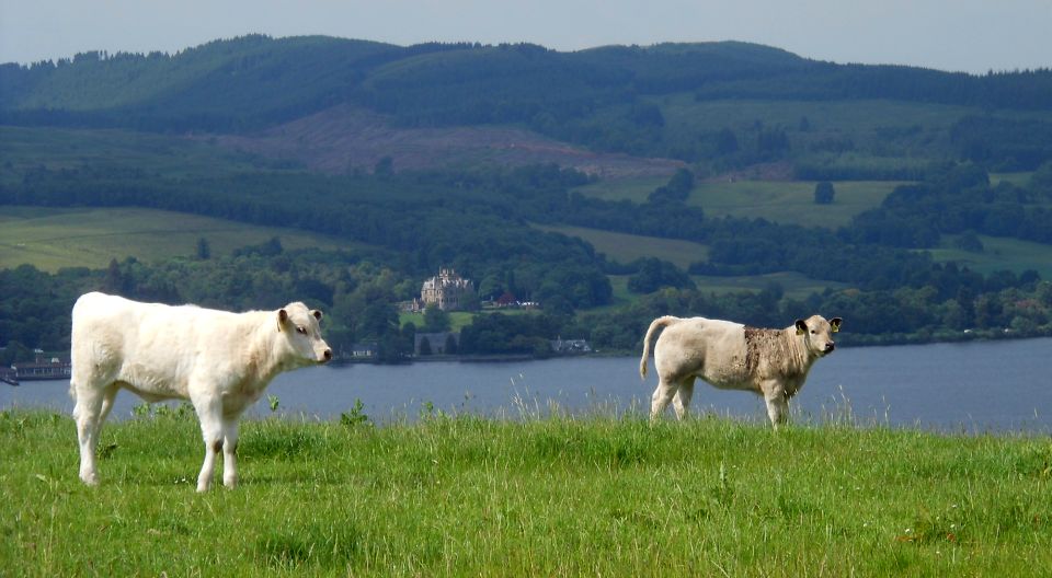 Auchendennan House beneath Ben Bowie across Loch Lomond