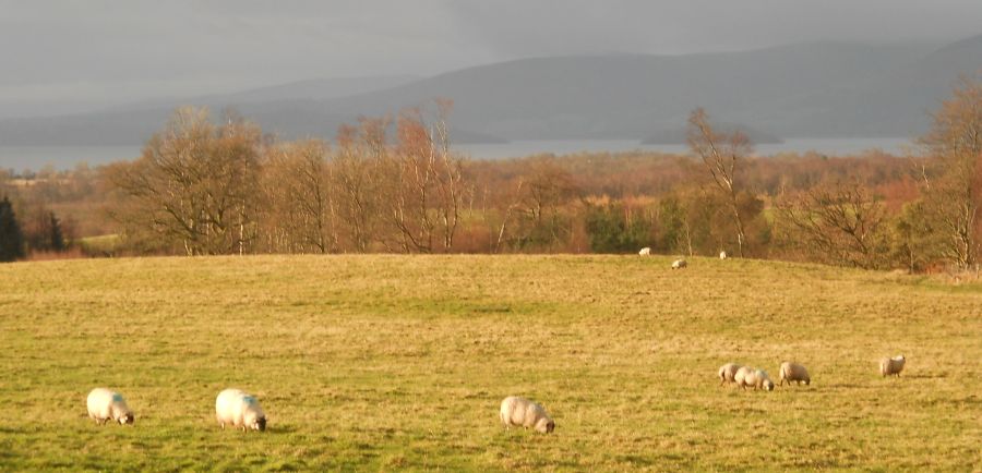 Loch Lomond on track to Buchanan Smithy