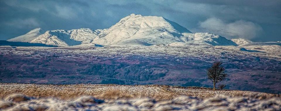 Ben Lomond from Cathkin Braes Country Park