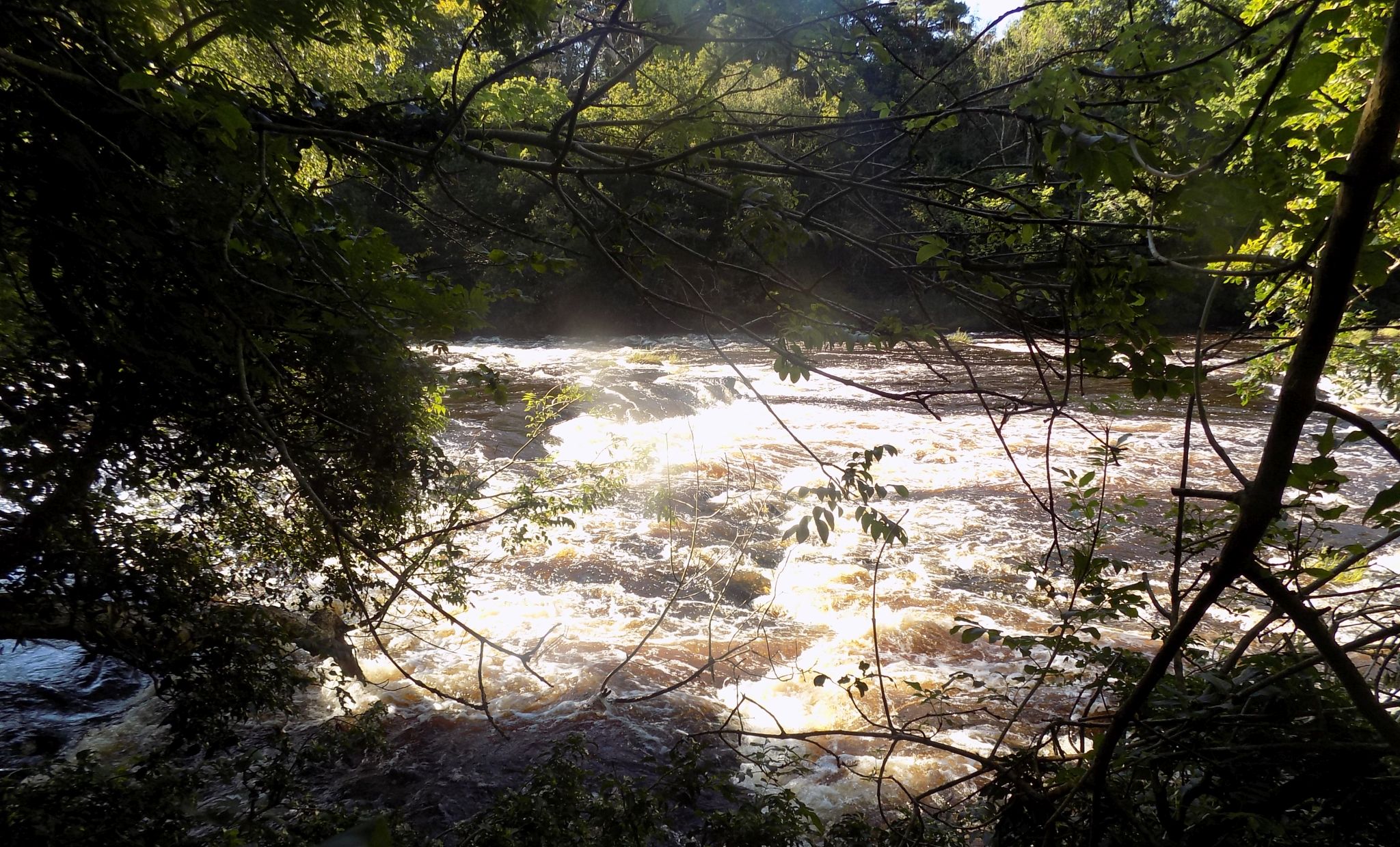 Rapids in the River Clyde