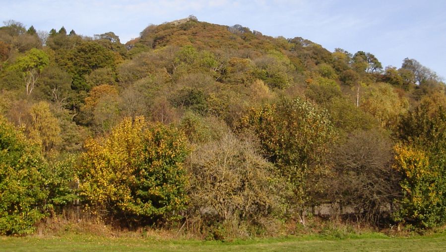 Auchentorlie Woods on approach to Milton