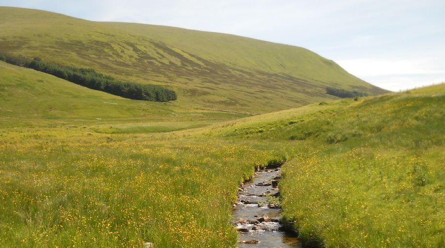 Creagan na Beinne