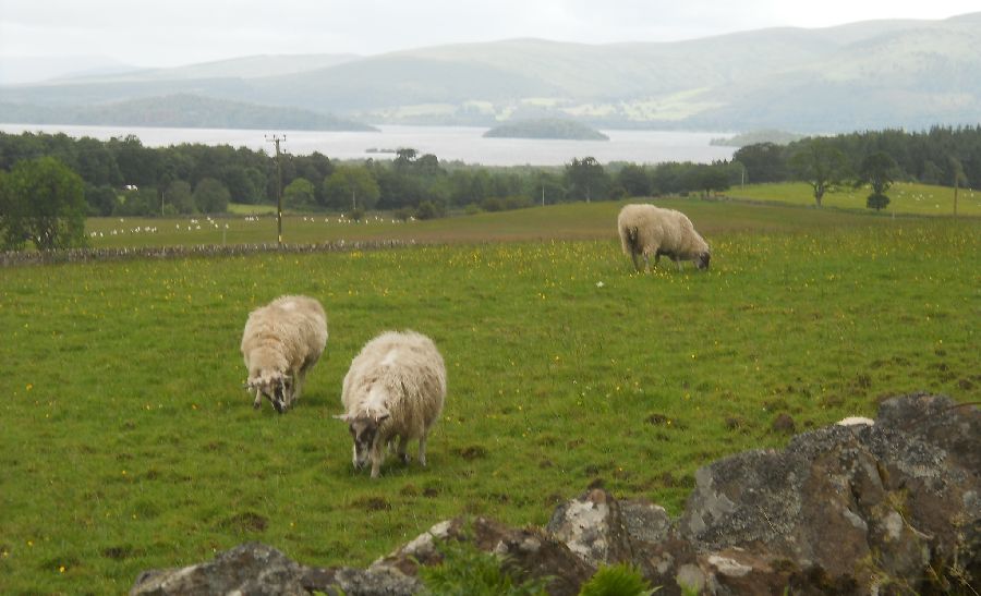 Loch Lomond from the outskirts of Drymen