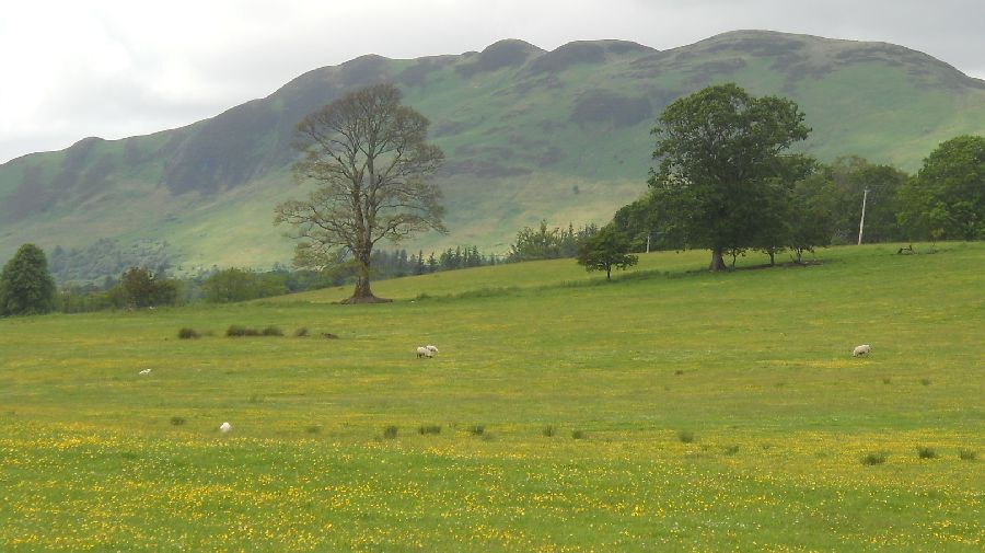 Conic Hill on the West Highland Way from the outskirts of Drymen