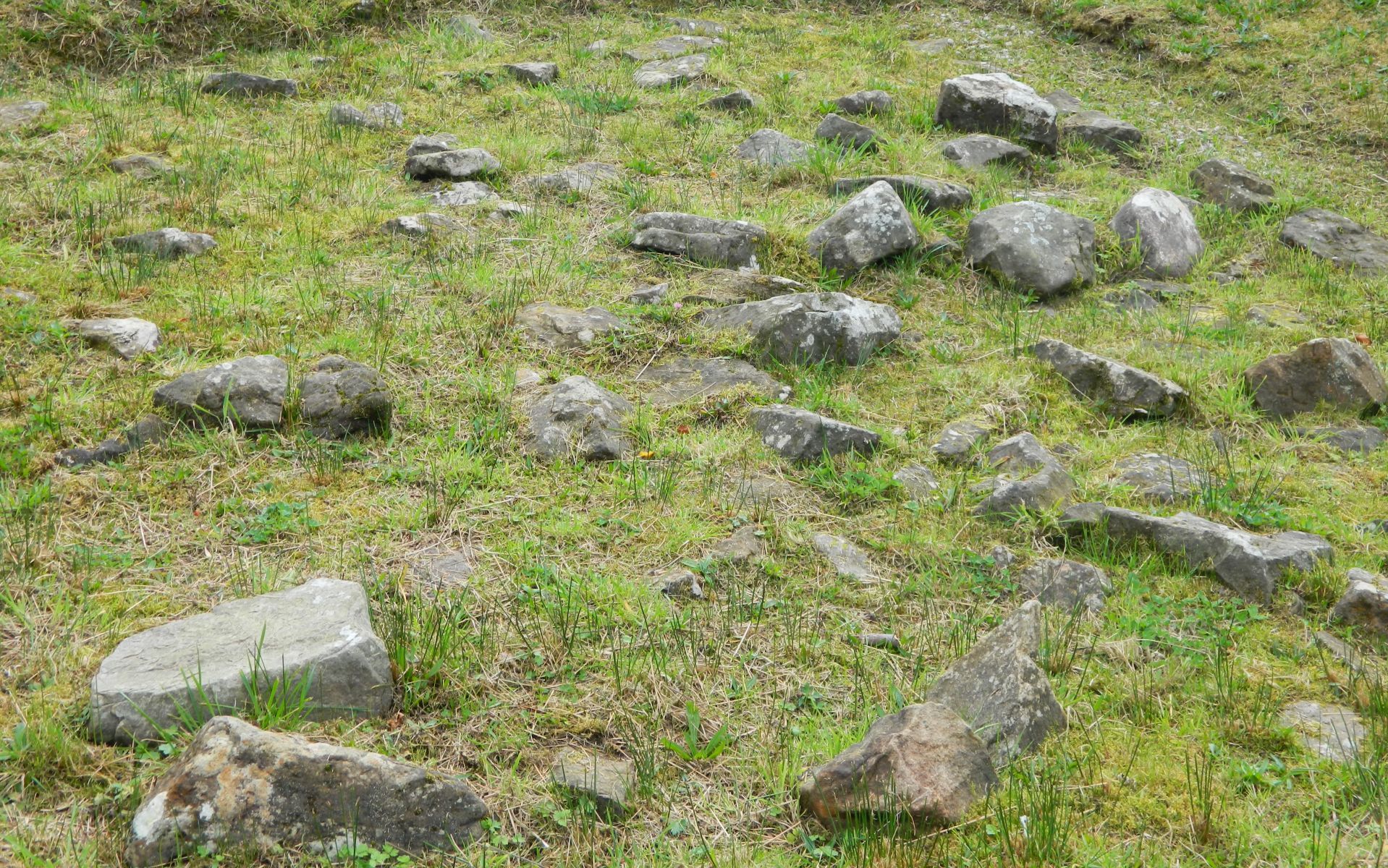 Antonine Wall at Duntocher Fort