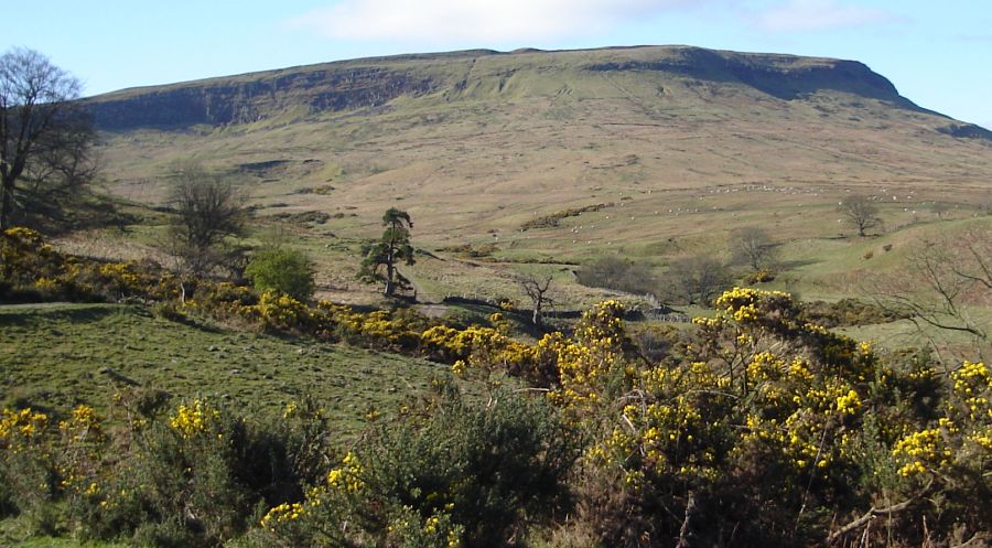 The Eastern Side of Stronend - the highest point of the Fintry Hills