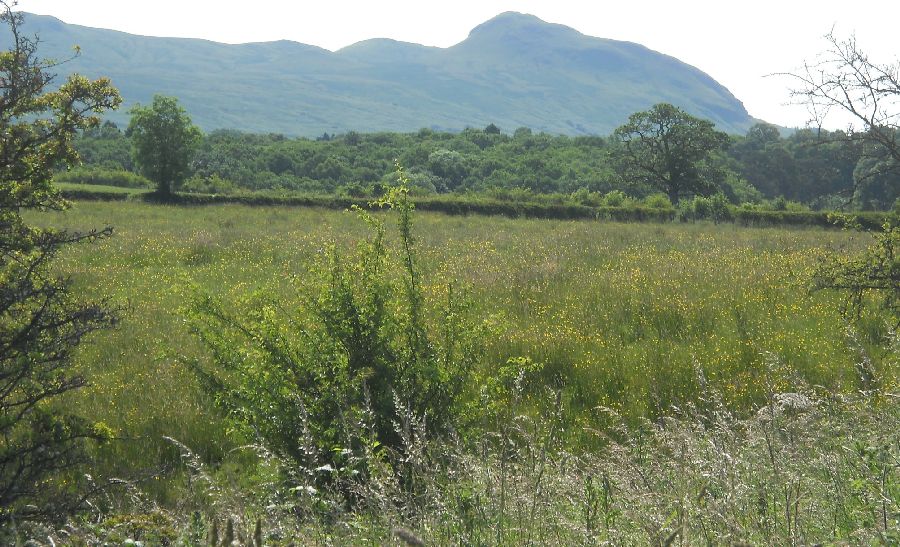 Dumgoyne in the Campsie Fells from the West Highland Way