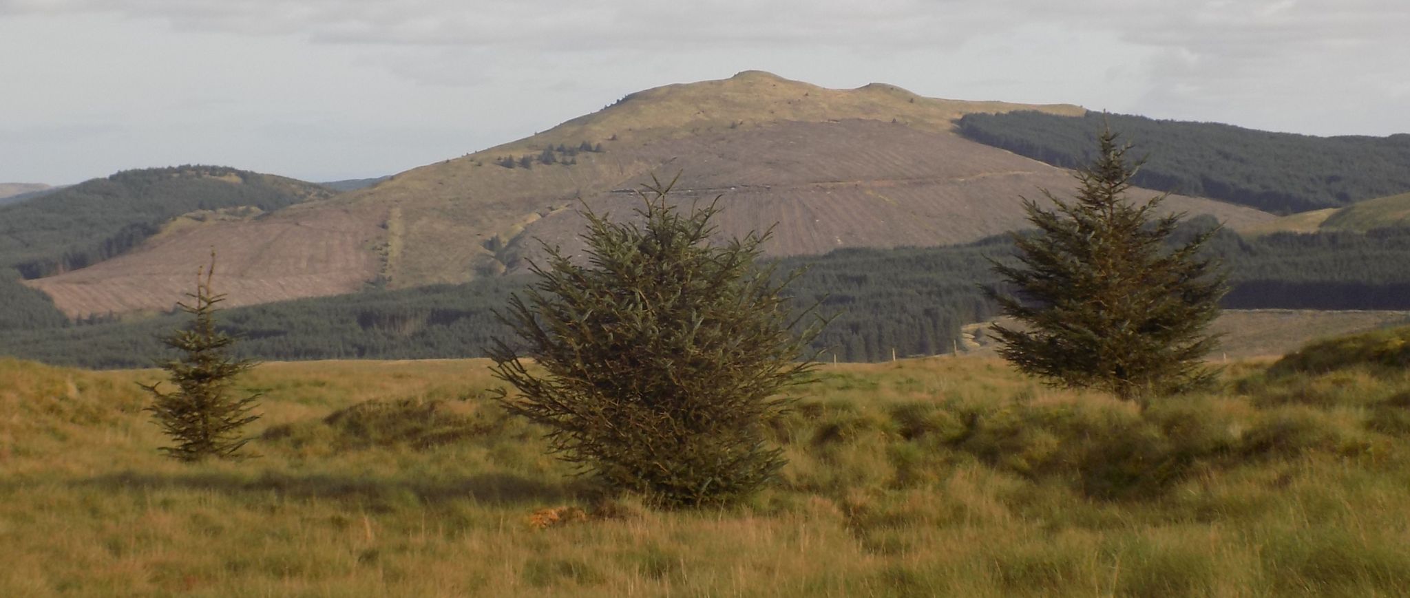 Meikle Bin in the Campsie Fells on ascent to Holehead