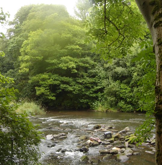 River Kelvin in Dawsholm Park