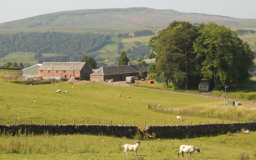 Dalnair Farm from track to Gartness