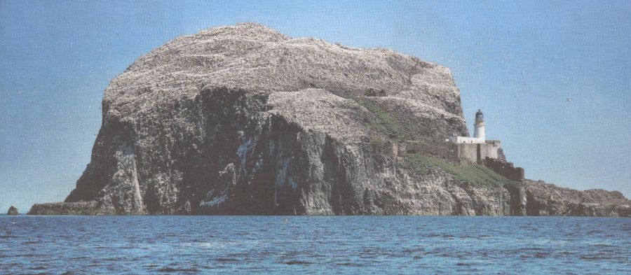 The Bass Rock in the Firth of Forth