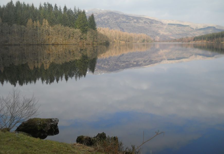 Ben Lomond from Loch Ard Forest