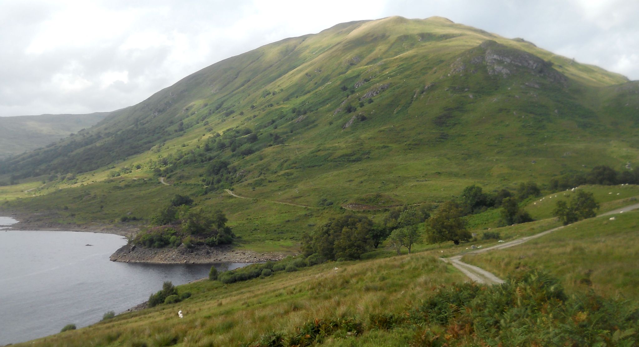 Meall Cala ( The Mell, 2201ft ) above Glen Finglas Reservoir