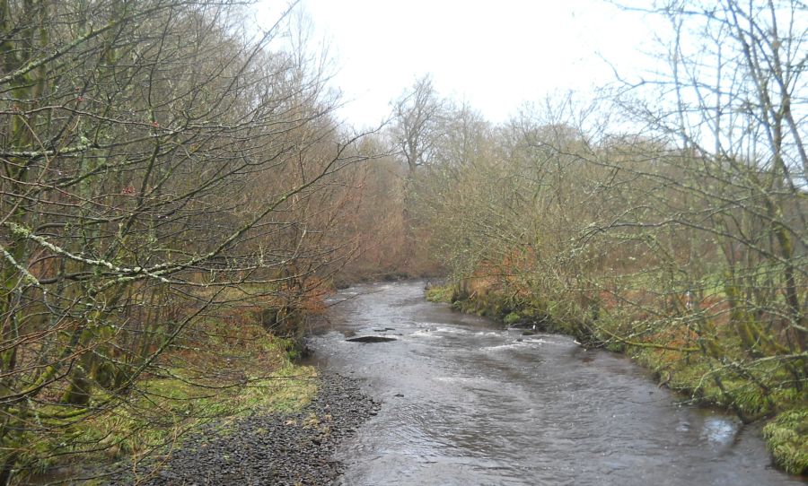 Glazert Water from the Thomas Muir Trail to Lennoxtown