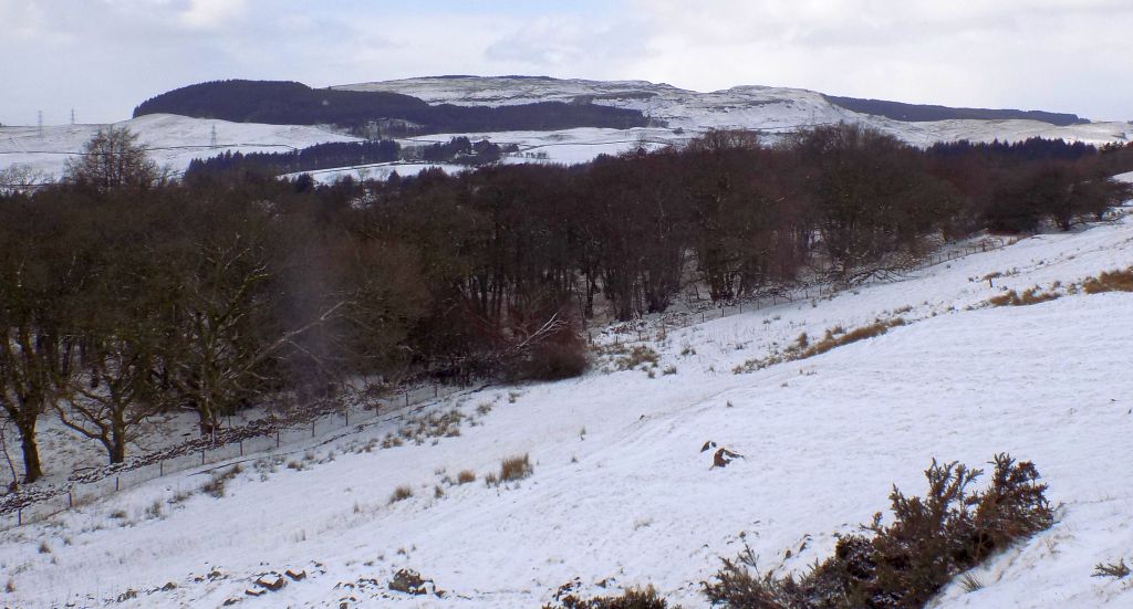 Kilpatrick Hills from Mugdock Country Park