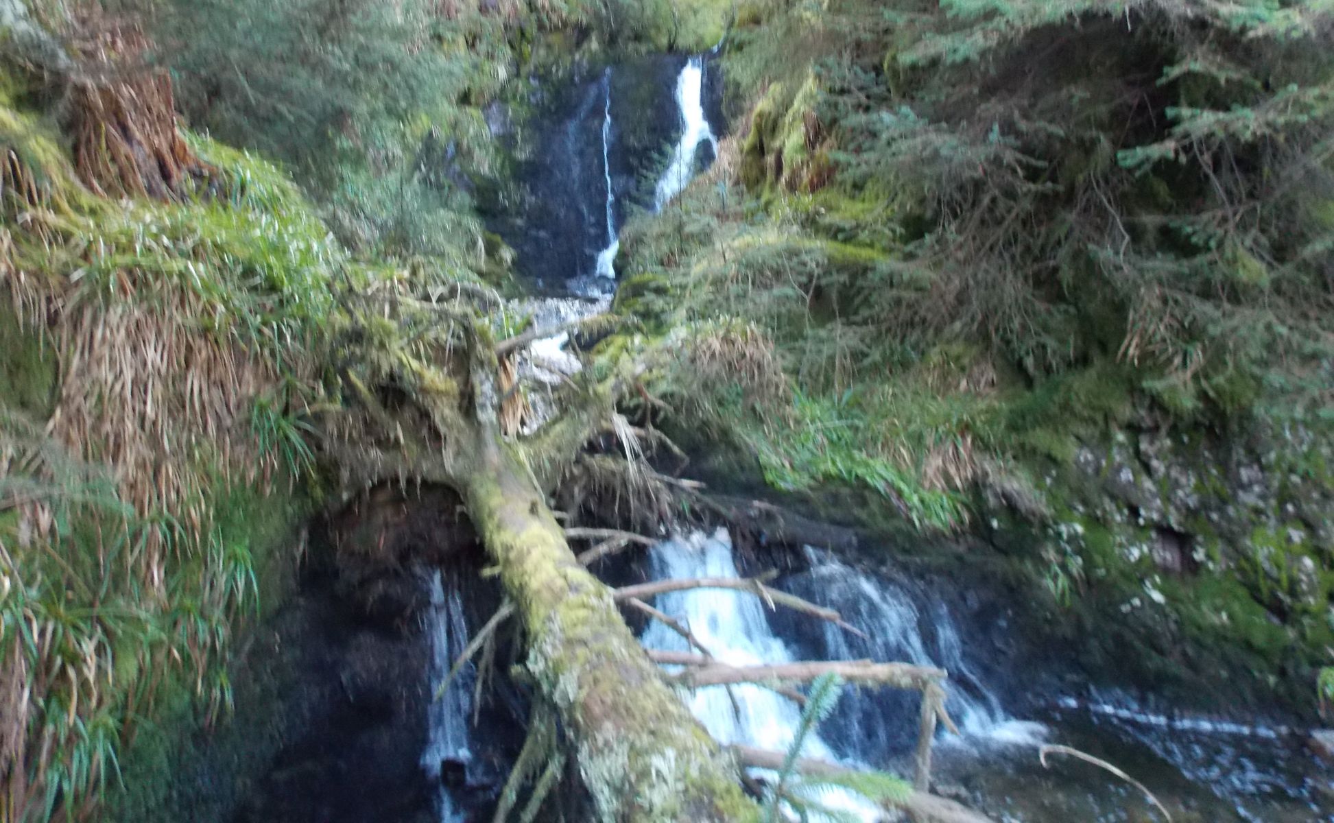 Peggie's Spout on Bin Burn