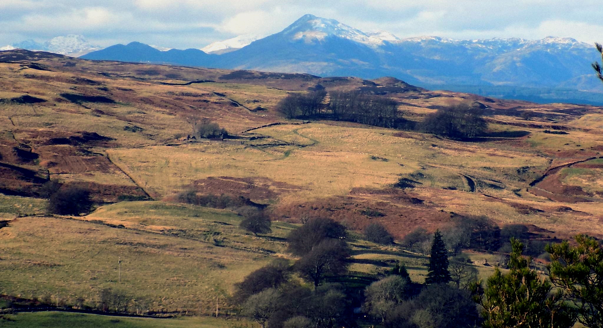 Ben Ledi from Lewis Hill