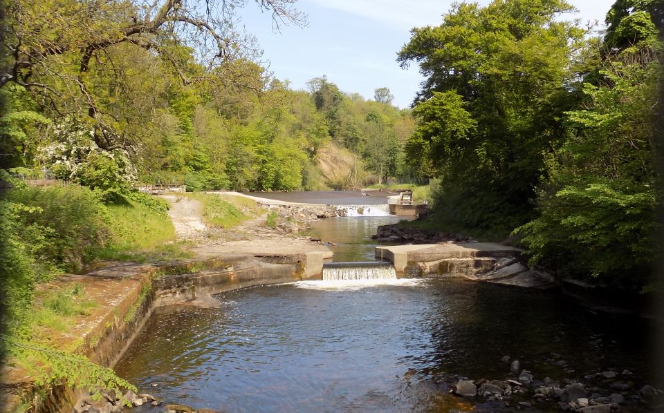 Weirs on River Ayr at Catrine