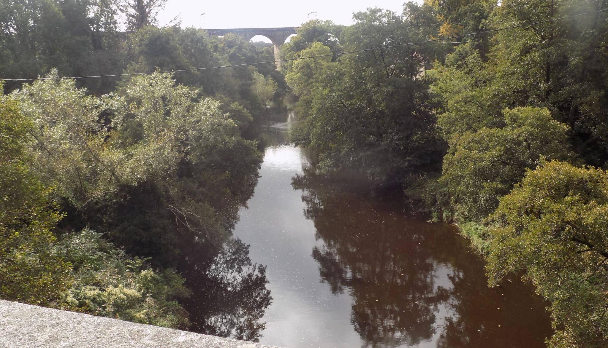 The Avon Railway Viaduct from Linlithgow Bridge