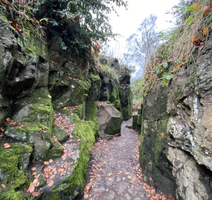 Rock Quarry in Victoria Park