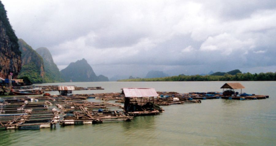 Moslem Village on Ko Panyi in Phang Nga Bay in Southern Thailand